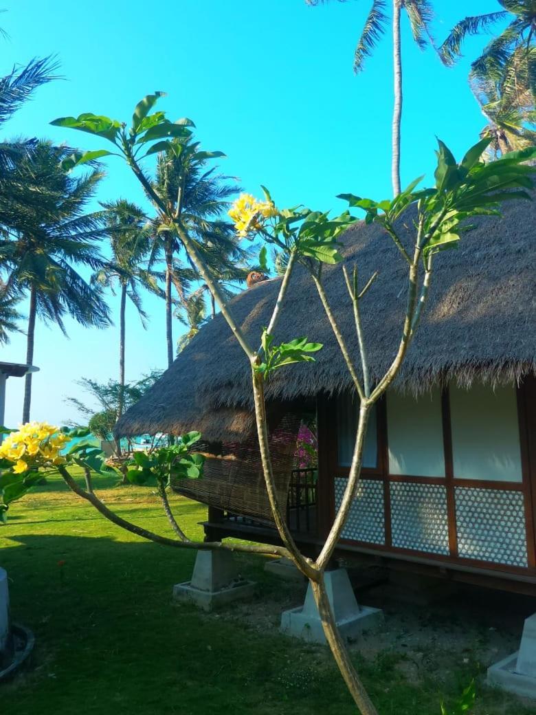 Ary'S Lagoon Bungalow & Hotel Karimunjawa Zewnętrze zdjęcie